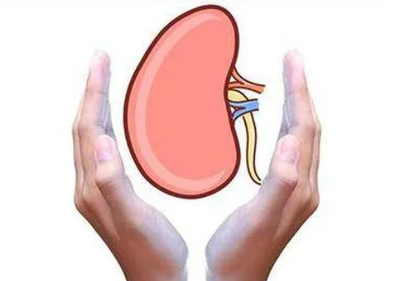 小便清长 小便清长