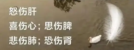 过恐伤肾