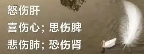 过恐伤肾