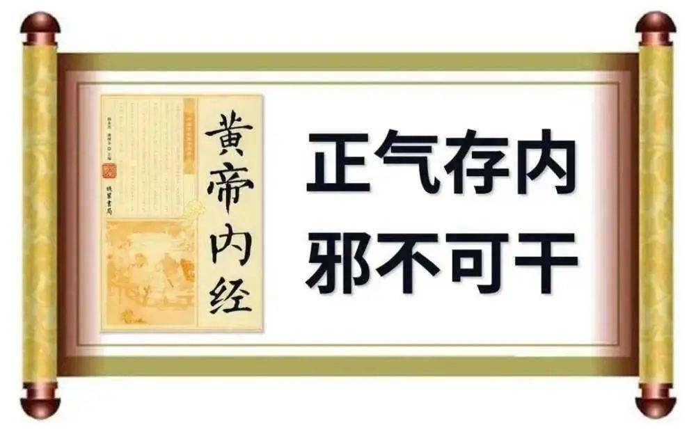 金匮肾气丸警示语本品含附子_金匮肾气丸副作用_金匮肾气丸附子是什么