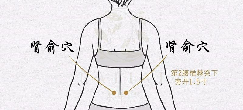 肾虚怎么补 肾虚怎么补