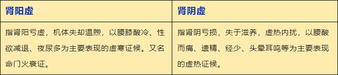 肾阳虚