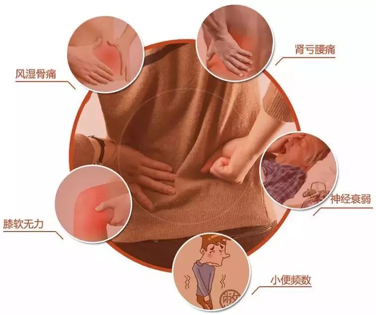 肾阳虚
