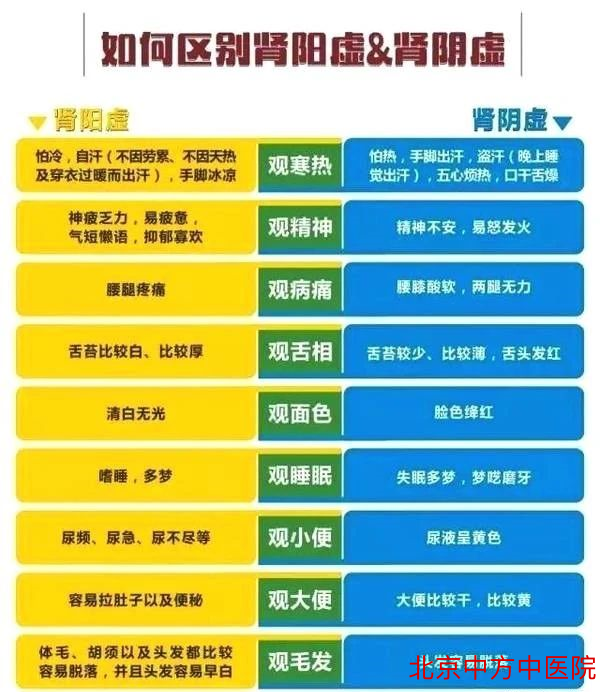 肾阳虚