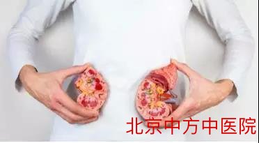 中医讲肾
