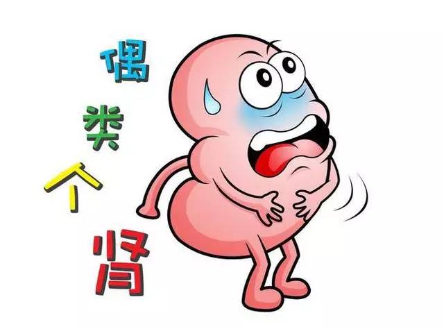 肾虚吃什么药 肾虚吃什么药