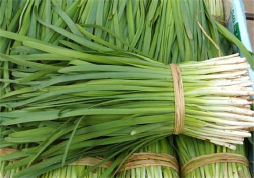 中医讲肾 中医讲肾