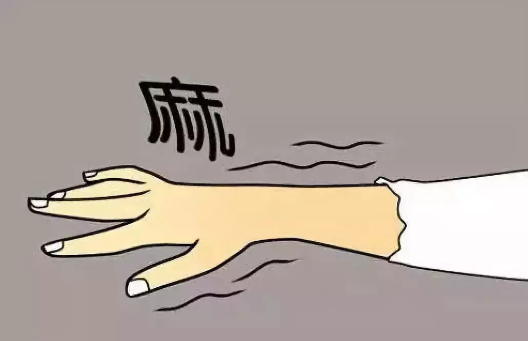 中医讲肾 中医讲肾