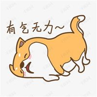 中医讲肾 中医讲肾