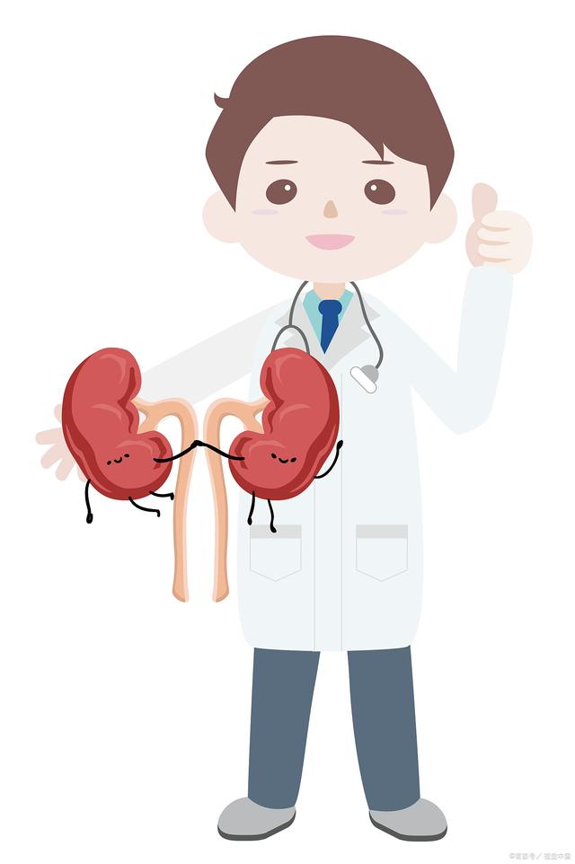 中医讲肾