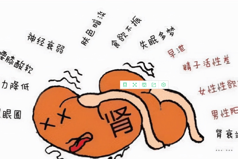 过恐伤肾