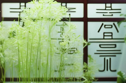 肾阳虚