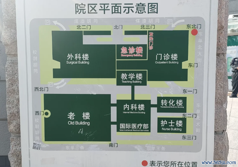 北京协和医院